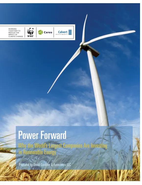 A report cover with brown grasses and a giant wind turbine against a blue sky