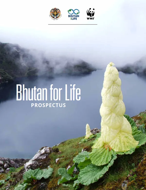 A report cover with an unusual white leafy plant growing in the shape of a cone on a mountainside
