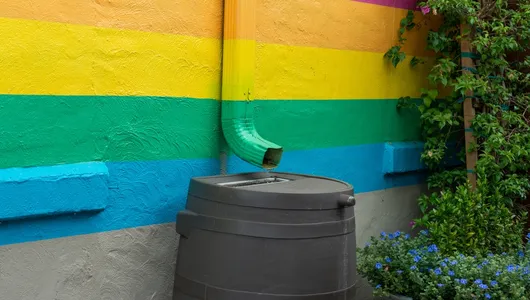 A rain barrel collecting rain from a downspout