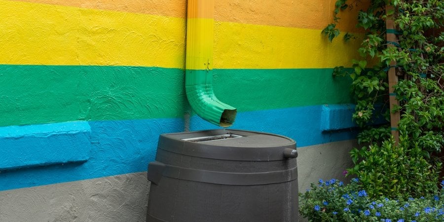 A rain barrel collecting rain from a downspout
