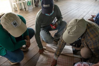 Three people hover over a document as they discuss livestock production and regenerative ranching in Madre de Dios region of Peruvian Amazon