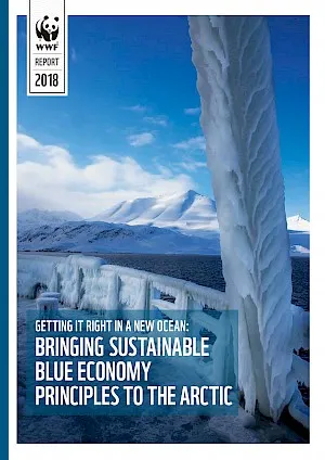 A report cover with a photograph taken from the deck of a boat that's frozen over with ocean and snow-covered mountains in the background