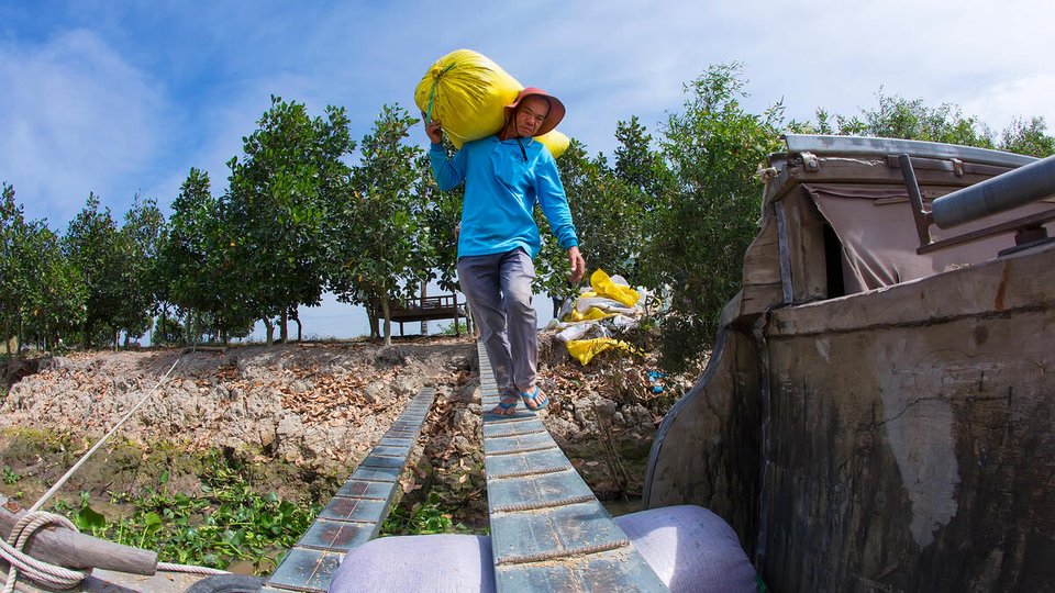 Man carries a bag of rice on his shoulders