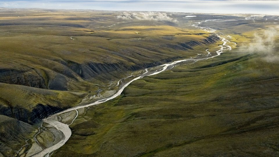 Aerial view of a thin river flanked by green and grown landscapes.