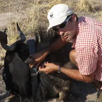 Robin Naidoo next to a wildebeest