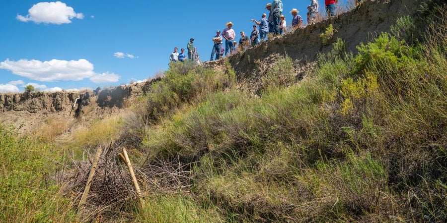 several people stand on the crest of a hill overlooking grasslands