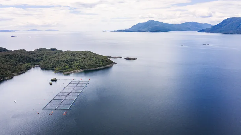 Aerial view of a salmon farm in Aysen Region, Chile