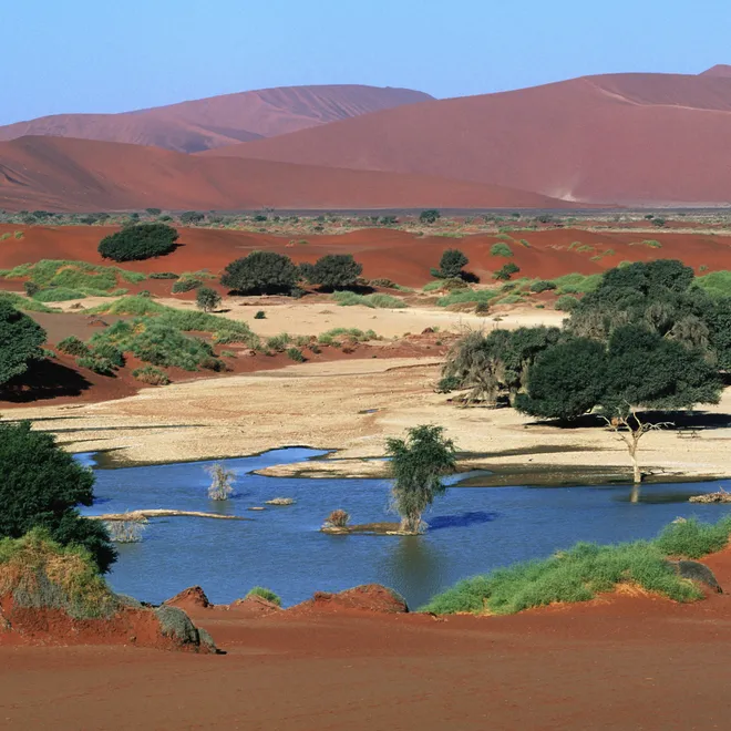 Reddish orange sand dunes in Namibia flanking a small lake with green trees dotting the landscape.