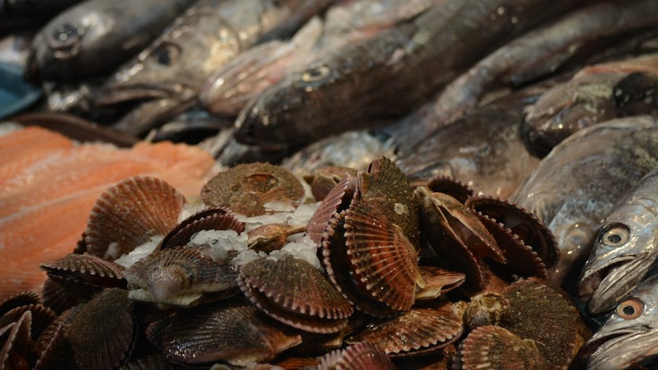 Shellfish and fish on display