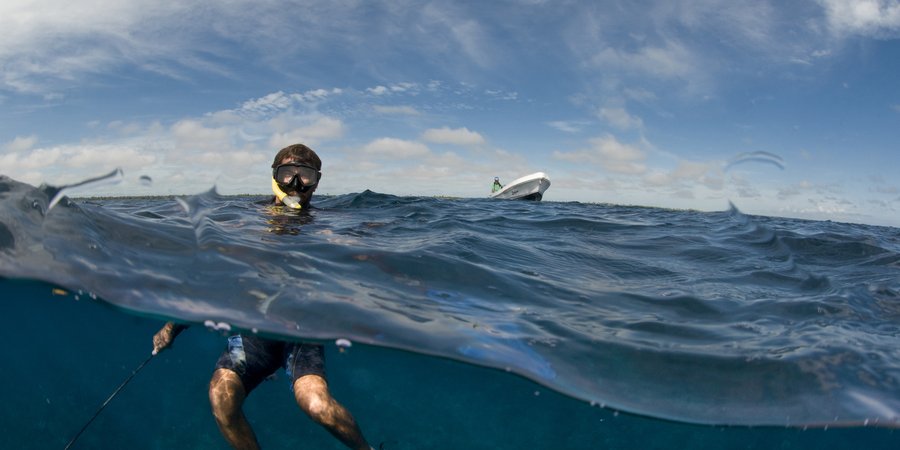 A snorkler with most of their body under water and their head above the surface of blue choppy water with a small boat in the background.