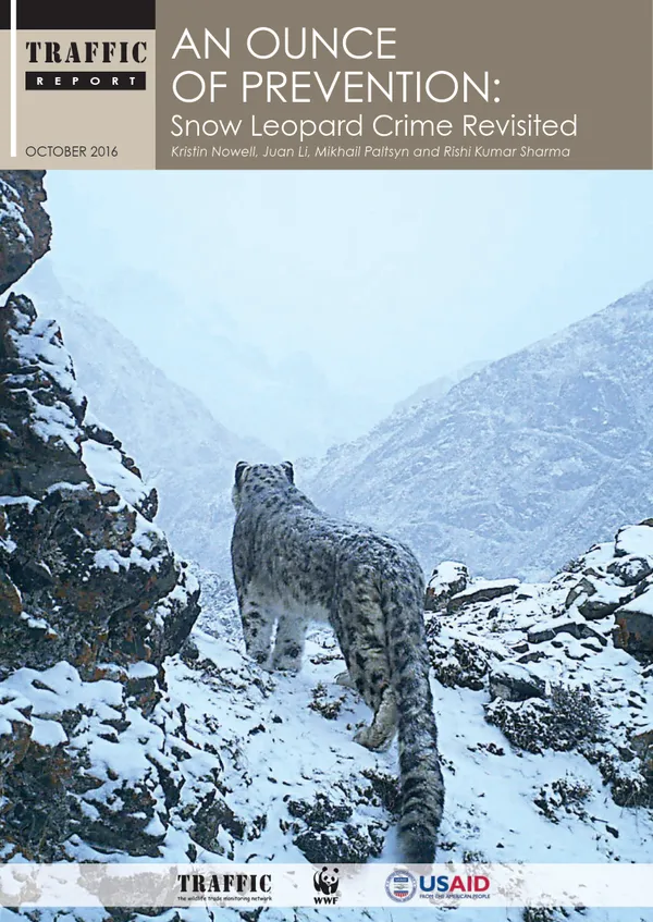 A report cover featuring a snow leopard from behind as it stands on a snowy cliff looking out at the mountains