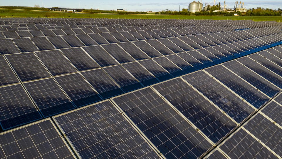 A field full of solar panels