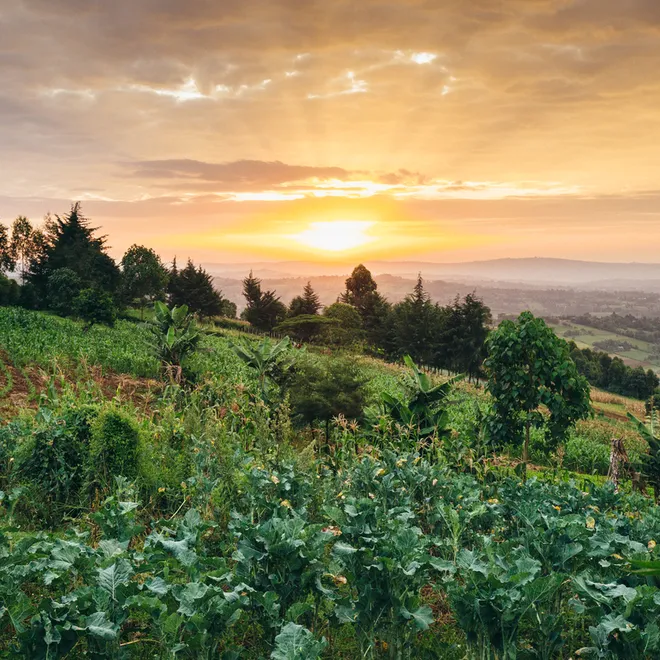 The sun sets over a slope of farmland with farmland visible in the background