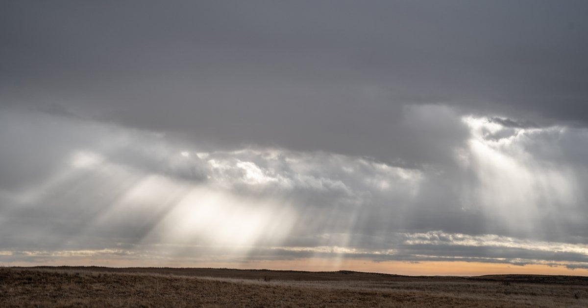 Youth Win Climate Case as Global Temperatures Hit Record Highs | WWF