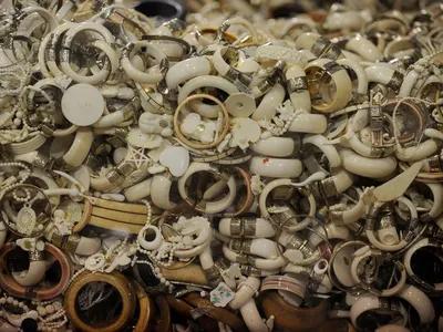tons of seized ivory, animal parts illegally poached for fashion, decor and money are held once they've been seized by authorities.