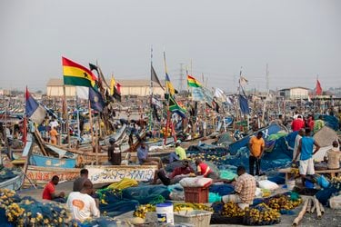 Locals waiting for the fresh fish catch of the day at Tema port, Ghana.