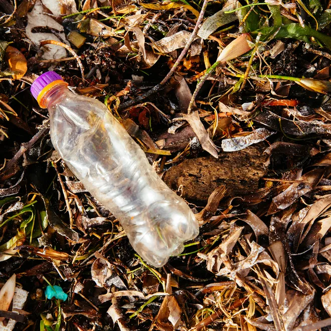 An empty plastic bottle rests in a pile of leaves outdoors