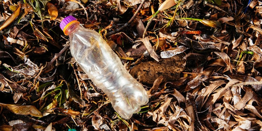 An empty plastic bottle rests in a pile of leaves outdoors