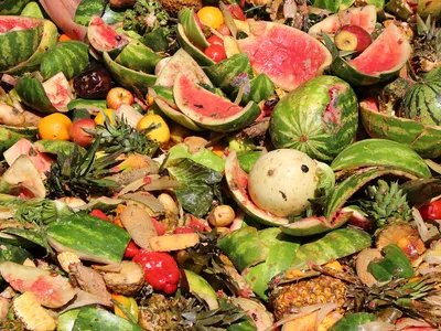 A pile of discarded fruit skins, including watermelon and apples