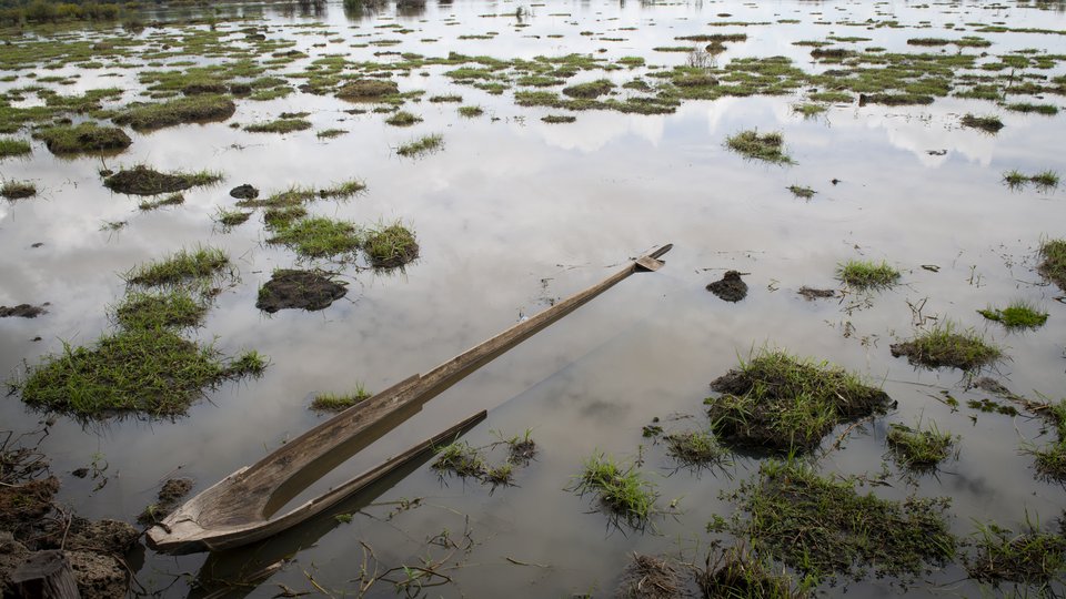 a water's eye view of wetlands inside Bueng Kiat Ngong in Lao