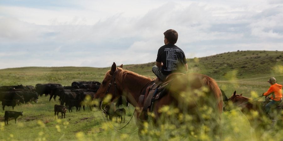 Riding a horse in Nebraska, United States