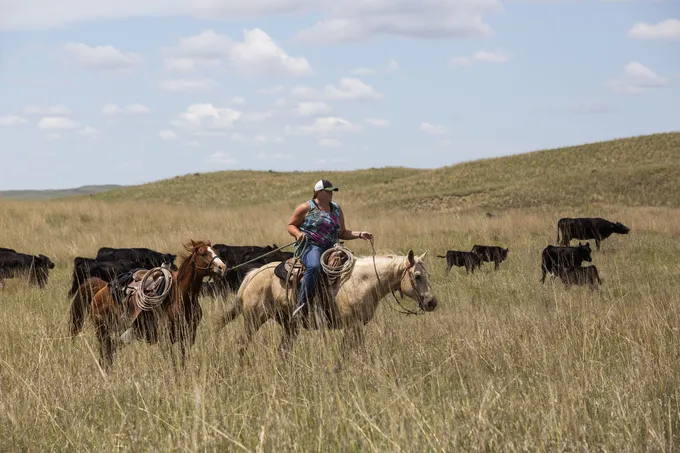 Jamie Sexson helps move cattle in the Nebraska Sandhills, United States