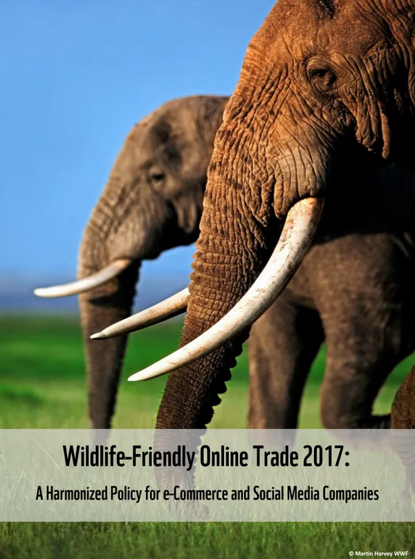 A scientific report cover with a photo of two elephants with ivory tusks in a green grassy field with blue skies and the report title: Wildlife-Friendly Online Trade 2017.