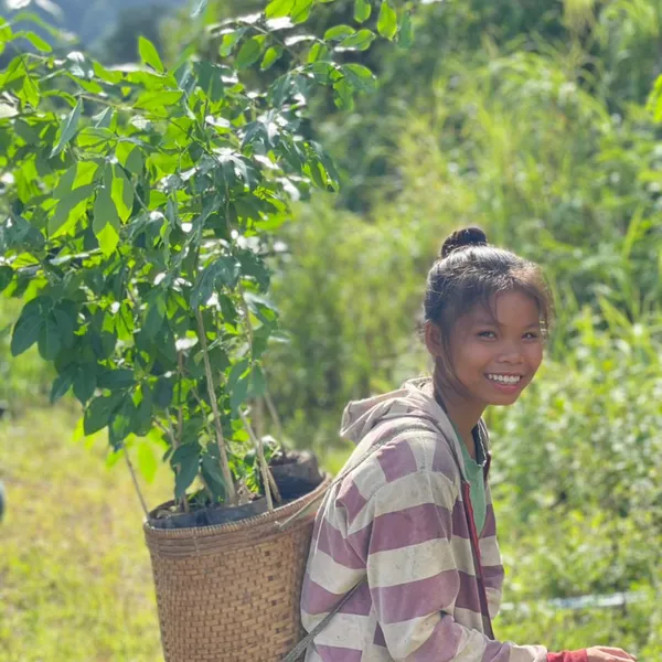 Young girl carrying seedling on her back and smiling in Laos